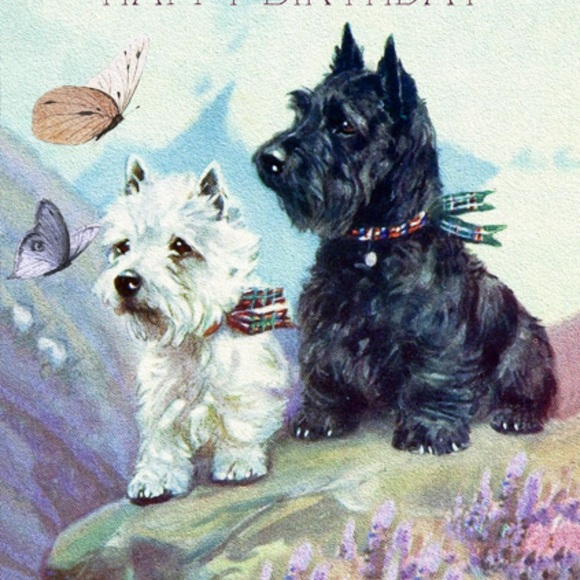 2 New Madame Treacle Vintage Greeting Cards Gladioli and Two Scotties New - Picture 2 of 8